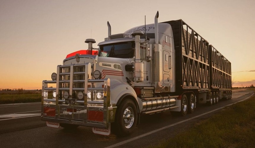 No 15: Mort & Co Transport