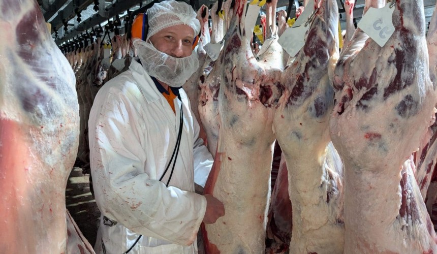 Research suggests frozen carcase meat can be stored longer at higher temperatures