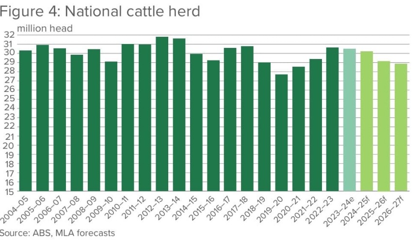 Record cattle production and beef exports in year ahead, suggests MLA’s Projections