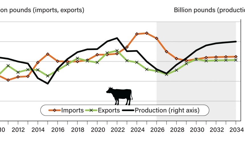 US beef imports likely to peak this year before falling through to 2029, USDA forecasts  