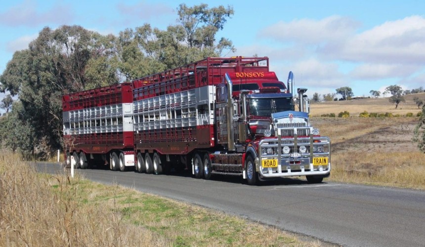 = No. 24: Bonsey’s Transport