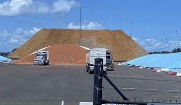 Feedgrain Focus: Sorghum moves to port, south booking fert