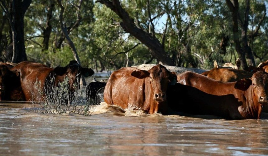 Five updates from the Western Queensland floods