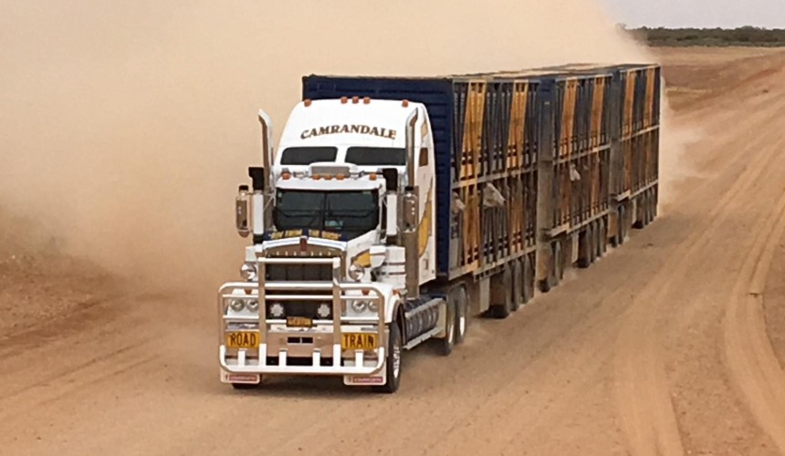 ‘Not profiting from this’: Rural carriers facing cost hikes they cannot absorb