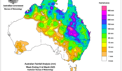 Weekly rainfall update + rainfall outlook 31 March 2025