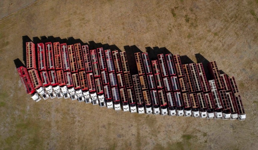 Four ways technology has revolutionised livestock transport