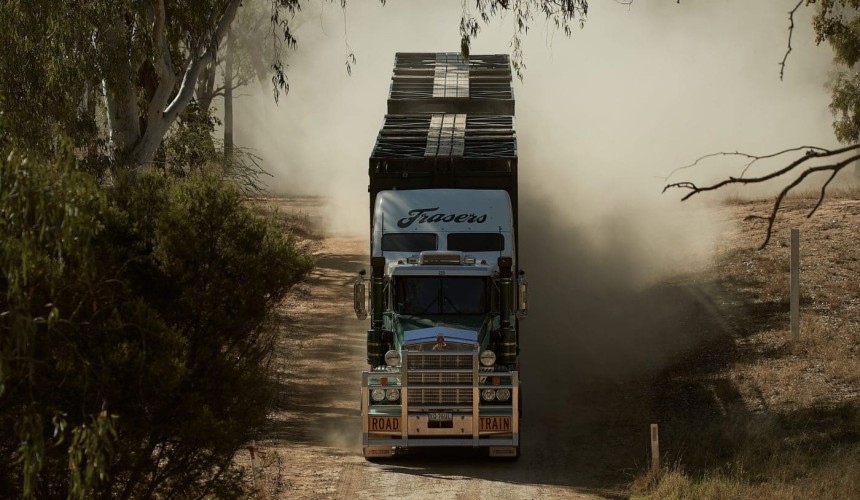 Fuel reserve must reach regional Australia, livestock transporters