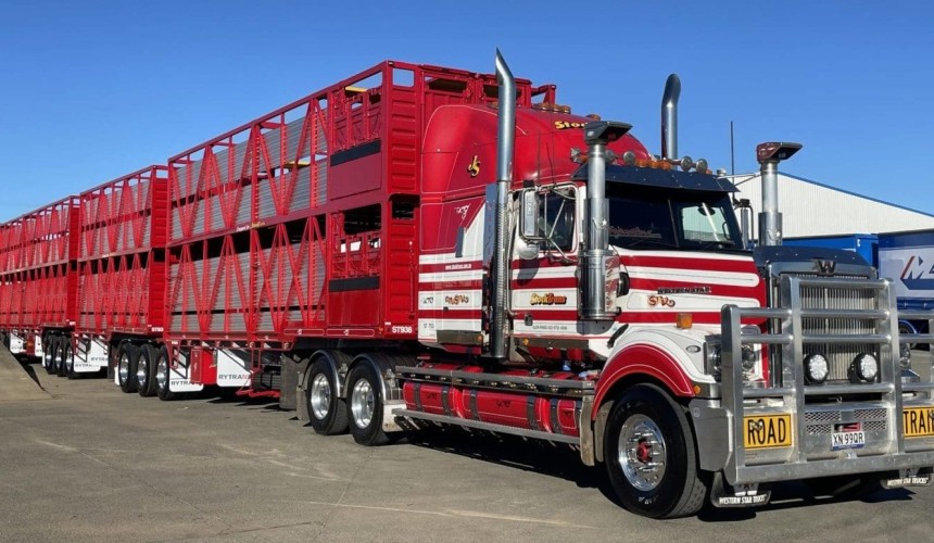 No 11: StockTrans
