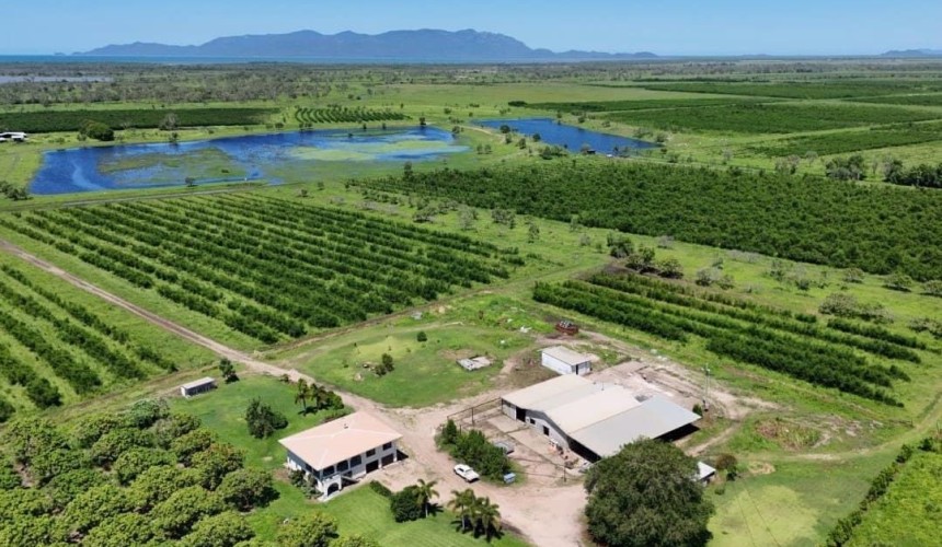 Movement at the Station: Recent property listings in QLD