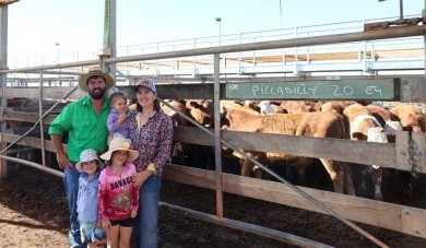 Roma sale 15 April 2025: Significantly larger offering