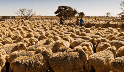 AFA back on the market after $780M deal collapse