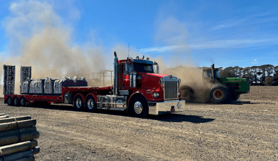 Feedgrain Focus: Weak dollar lifts values