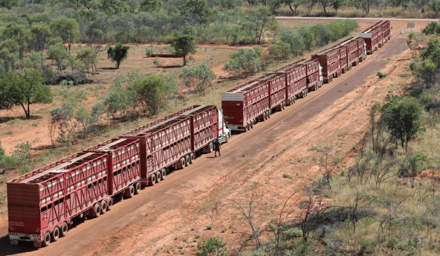 No 6: Mitchell’s Livestock Transport