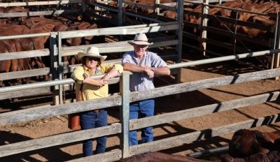 Roma sale 8 April 2025: Prices rise on low numbers