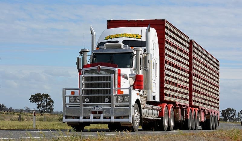 No. 5: O’Sullivan’s Livestock Transport