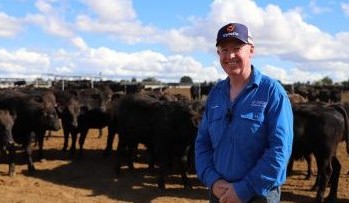 Chill factor: How Vytelle’s frozen IVF technology is transforming Wagyu genetics