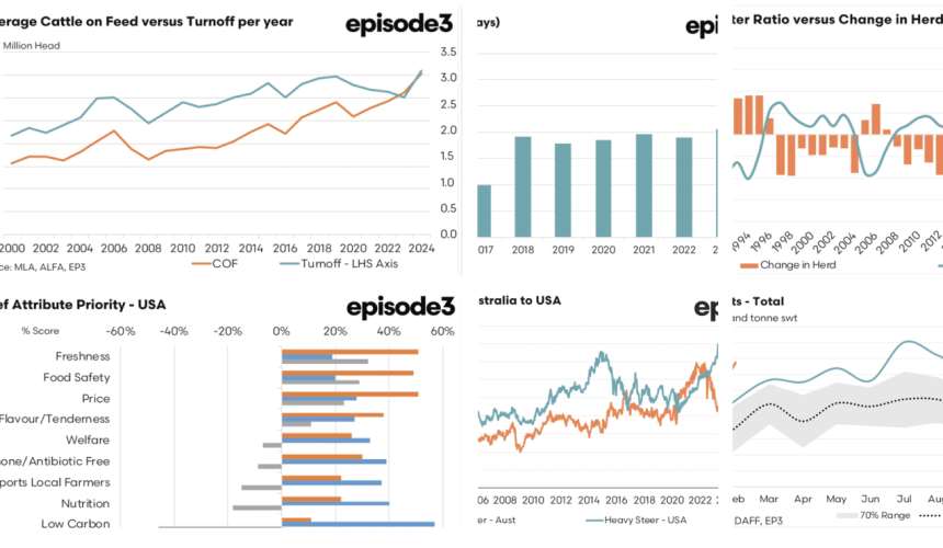 8 charts underpinning why EP3 sees cattle prices heading higher