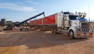 Feedgrain Focus: northern selling lifts as southern dry drags on