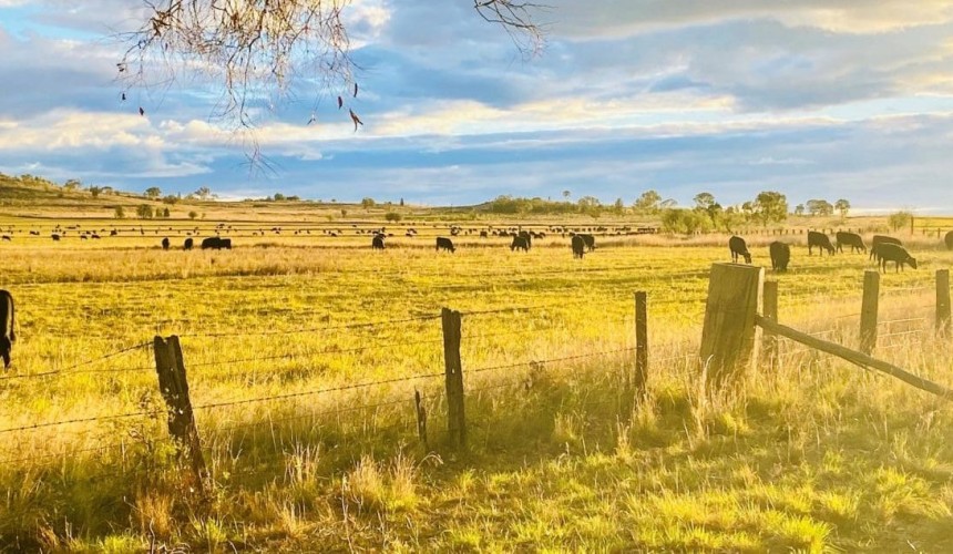 $36m New England property purchase marks start of S. Kidman ‘reformation’