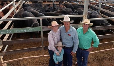 Roma sale 27 May 2025: Prices firm to 20c higher