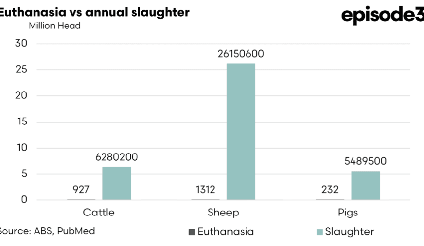 Two in 10,000: The vital context of animal welfare that the Guardian didn’t include