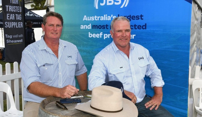 Angus genetics driving brand transformation at JBS
