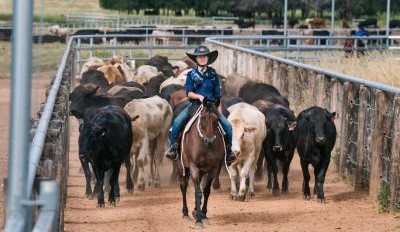 Feedlot industry award applications now open