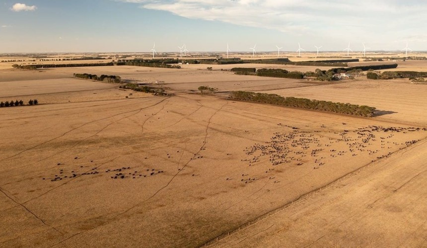 Vic drought package falls short of what farmers need: VFF