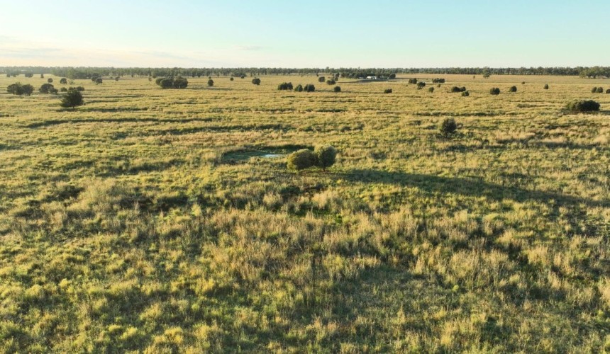 Palgrove lists properties as part of strategic refocus