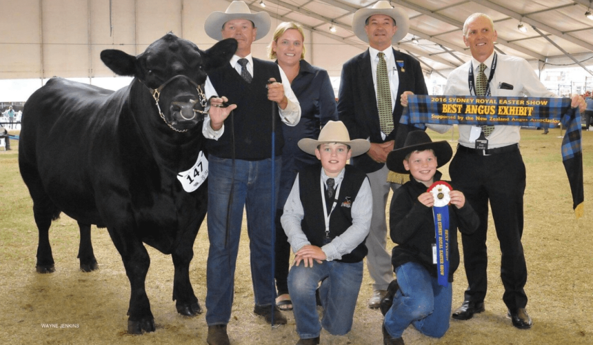 Killain Angus reflects on years of genetic progress with hormone-free IVF