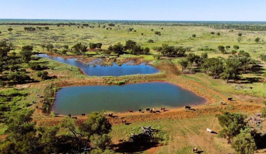 Nationals hit out at David Farley reusing refuted claims about beef’s water usage