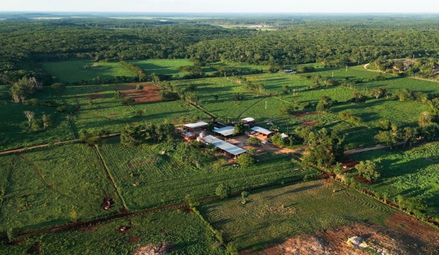 Leading tropical dairy farming operation in Mexico’s Yucatan Peninsula for sale