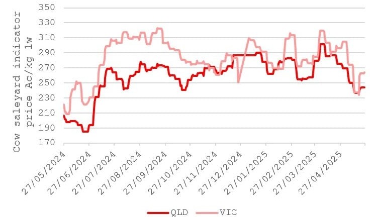 Regional cattle markets wrap: Prices start to work in opposite directions