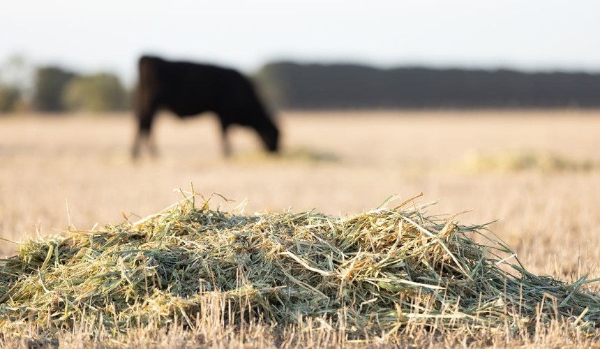 Farming groups welcome drought and flood support announcements