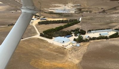 Call for immediate drought assistance in southern NSW