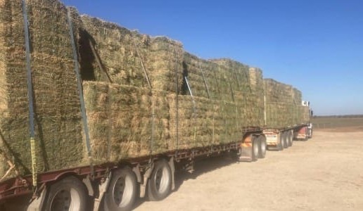 Agriculture Victoria offers free biosecurity service for fodder