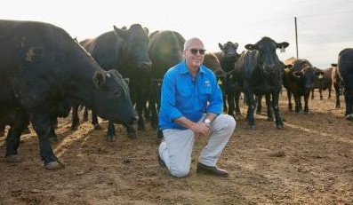 Rising construction costs delay new Mort & Co CQ feedlot