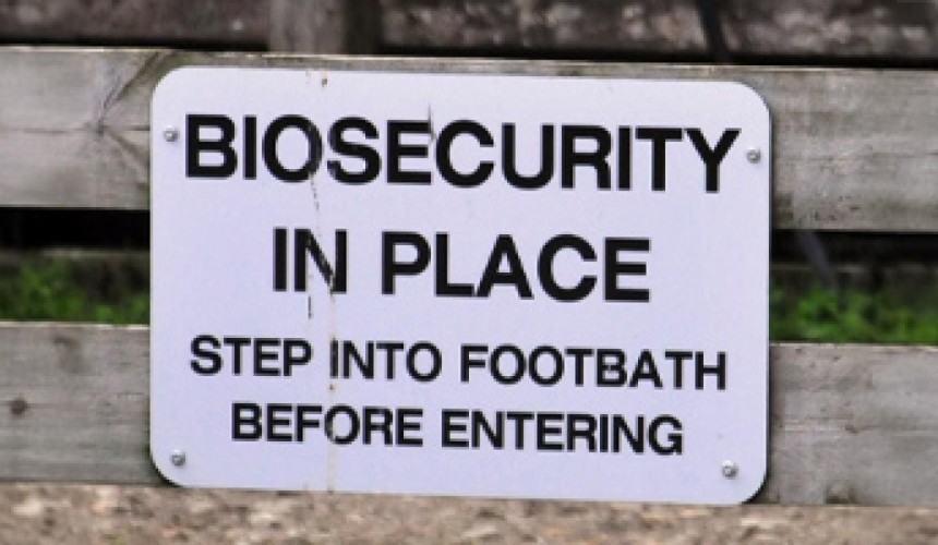 NZ signs agreement to prepare and respond to an FMD outbreak