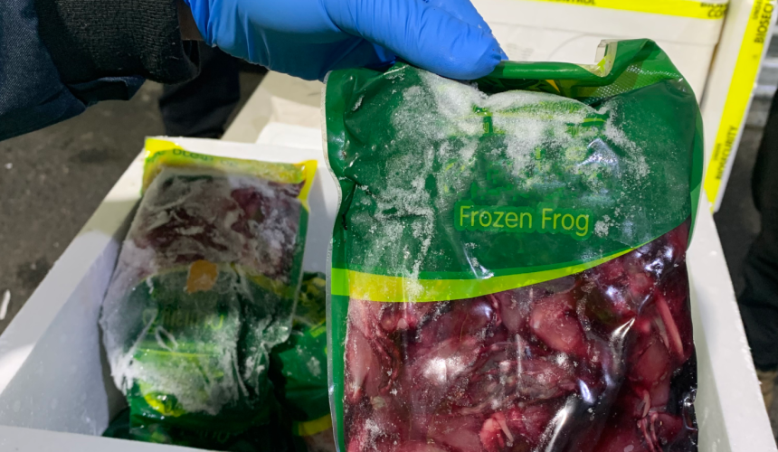 Should DAFF be urged to challenge light court sentence in illegal meat importation case?