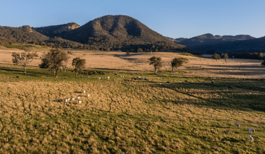 Movement at the Station: Recent property listings in NSW
