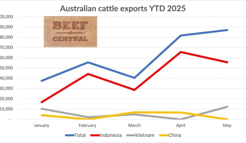 May live cattle exports to year high