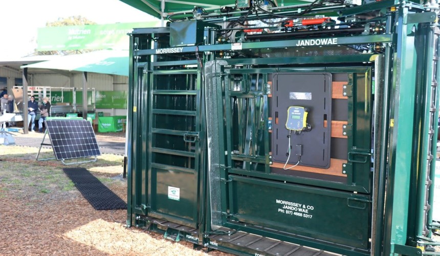 Bright idea: World-first solar-powered cattle crush at FarmFest
