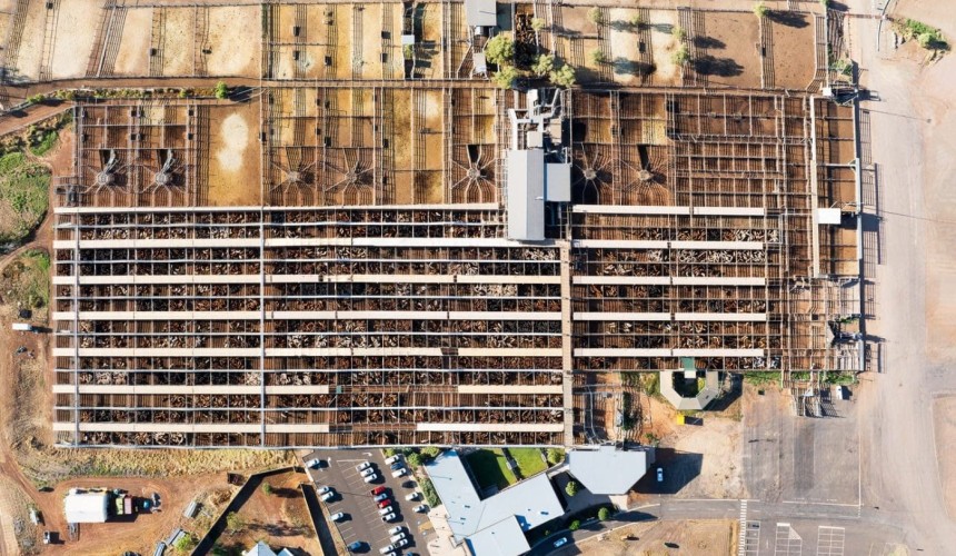 Two factors driving southern processors to northern cows