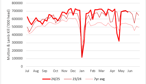 Regional markets wrap: Large sheepmeat kills set to decline through winter