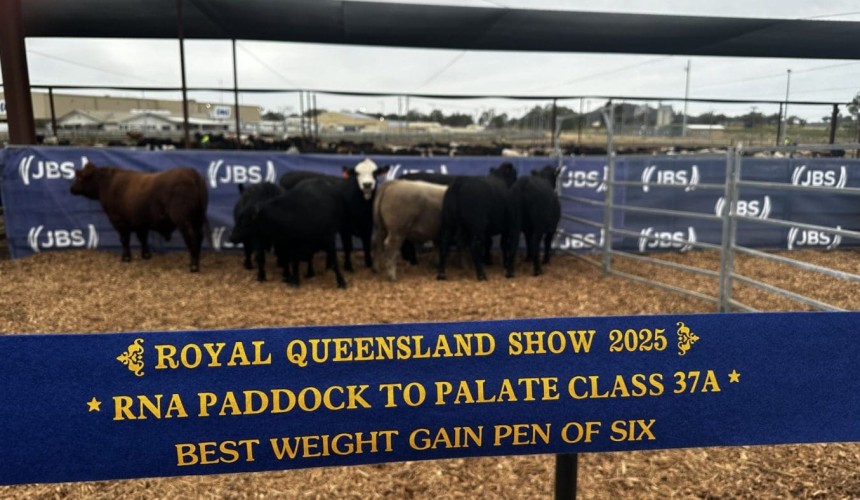 Western Qld producers claim multiple sections in Paddock to Palate weight gain