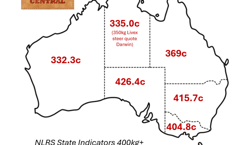 Feeder cattle market: Tight supply driving southern feedlots to lighter cattle