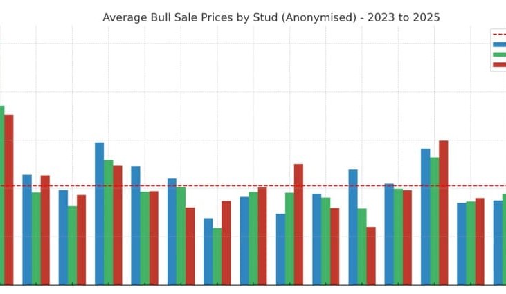 Spring bull sales update – July’s mid-season trends