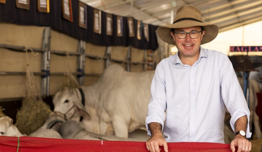Greens vote down Senate Inquiry into US beef imports