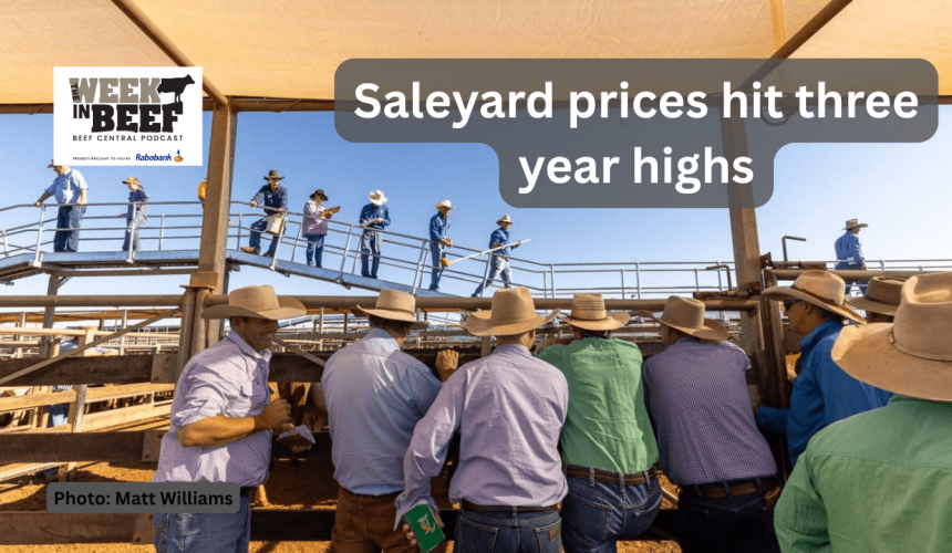 The Week in Beef: Saleyard prices up, Rain in the Riverina, getting more ag in classrooms