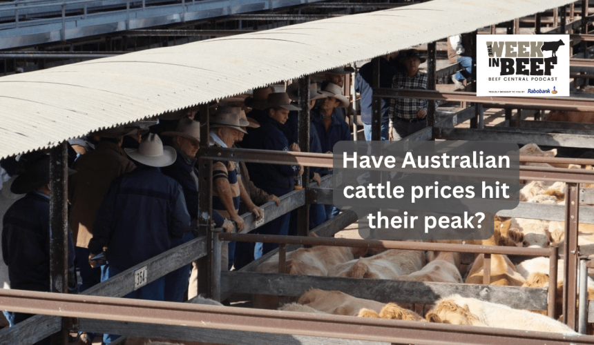 The Week in Beef podcast: Methane debate sparks and have cattle prices peaked?
